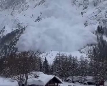 Tragédia nos Alpes: Vídeo impressionante capta avalanche que vitimou três pessoas em Courmayeur, Itália
