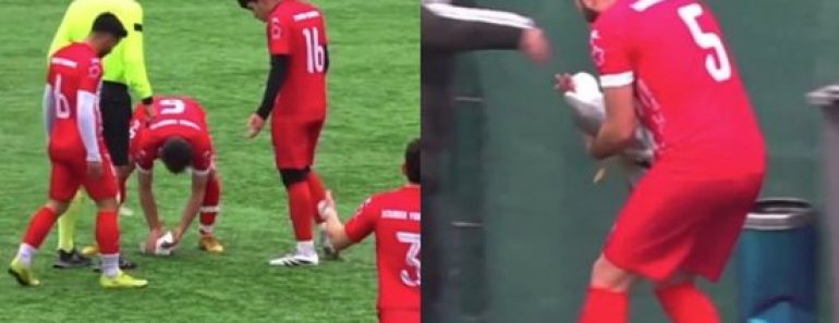 Bola atinge gaivota durante jogo e jogador faz massagem cardíaca para a salvar