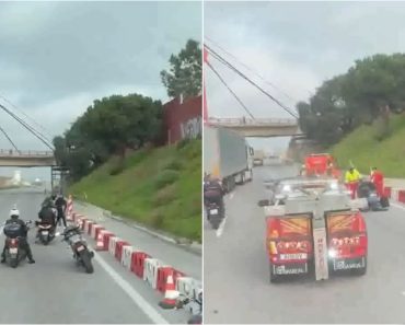 Perigo na A2: Mulher caminha quilómetros pela autoestrada com dois cães e gera onda de indignação