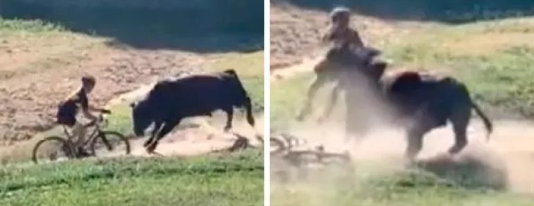 Ciclista sobrevive a investida de touro durante prova de BTT e gera debate sobre segurança em provas “off-road”